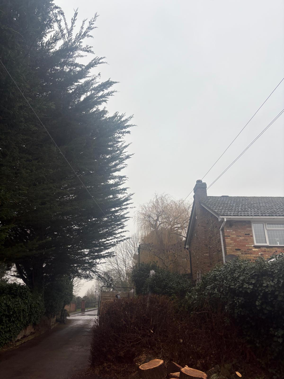 Roadside Lime Removal: finished, the lane clear and timber ready to shift
