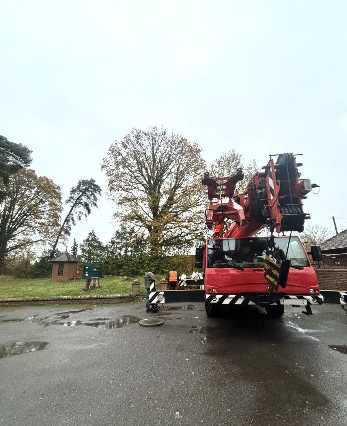 Mobile crane truck on site for a controlled tree removal