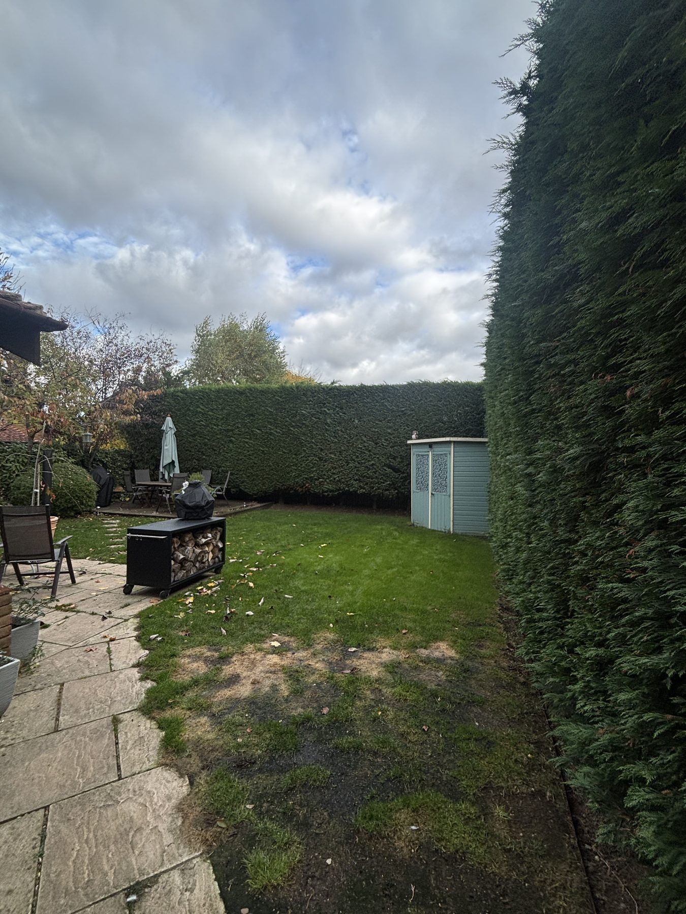 Garden Clearance and Stump Grinding: garden back in use, hedge tidied