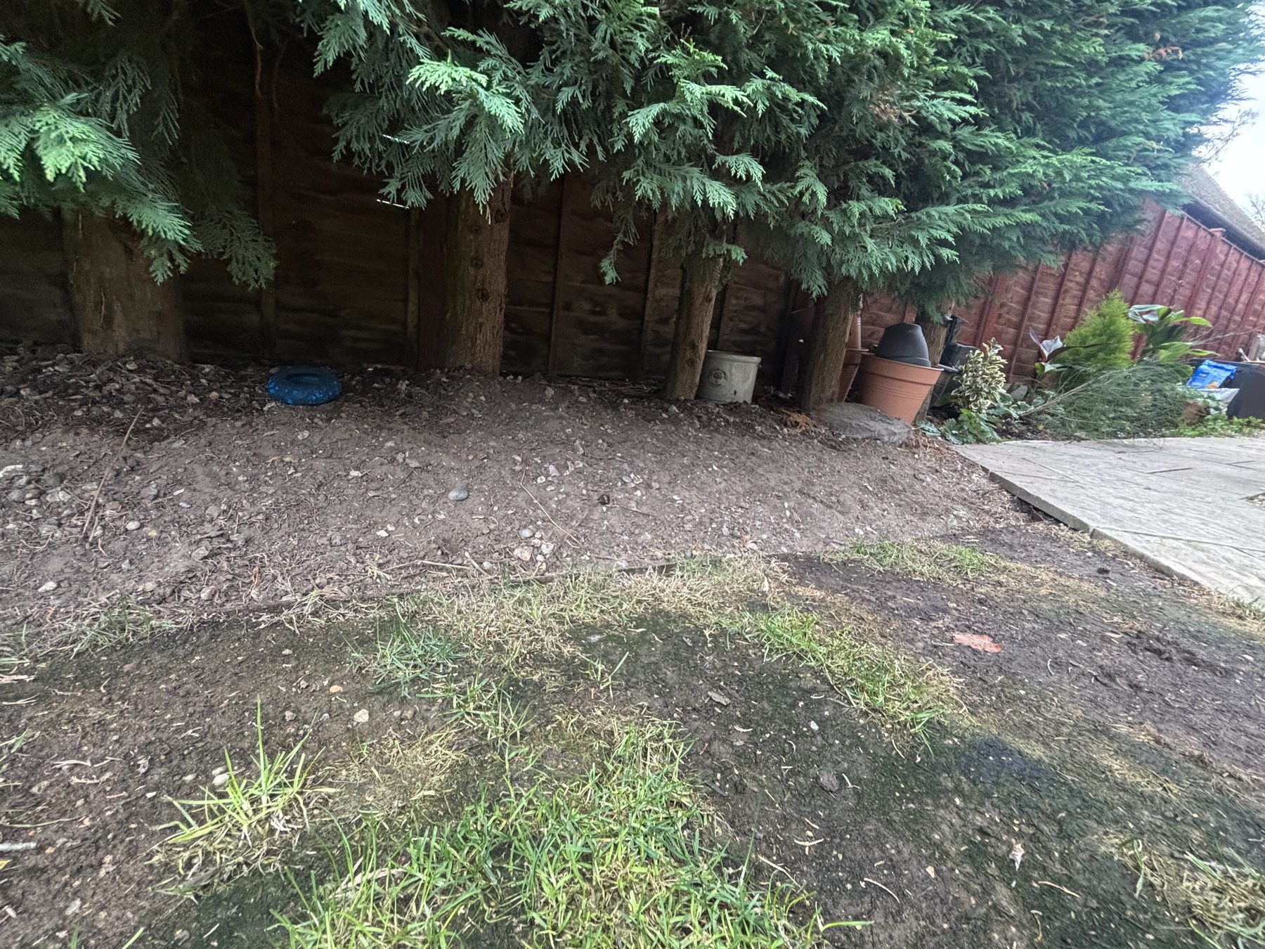 Garden Clearance and Stump Grinding: ground opened up where the stumps came out