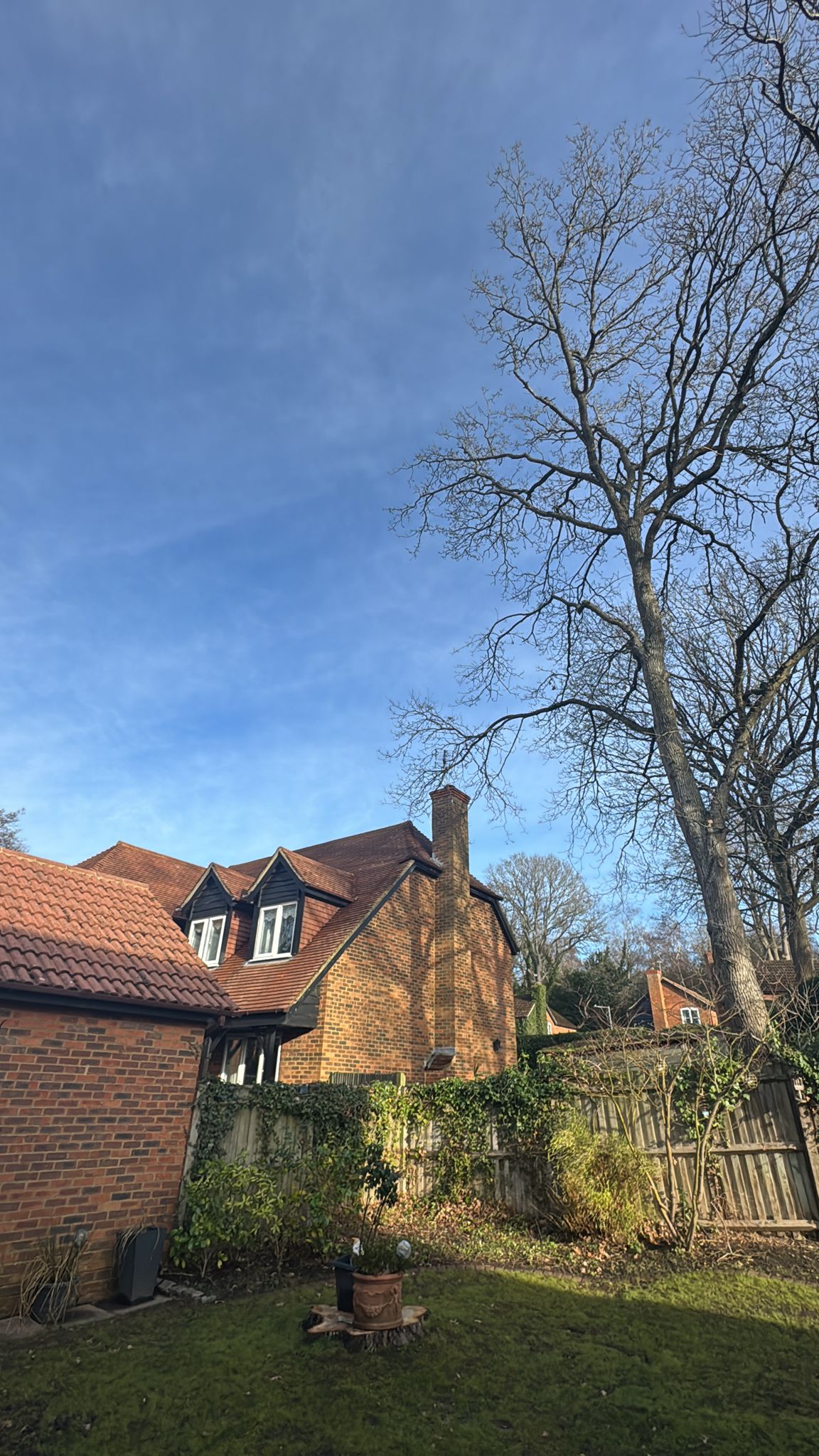 Oak Dismantle, Private Garden: finished, garden opened back up