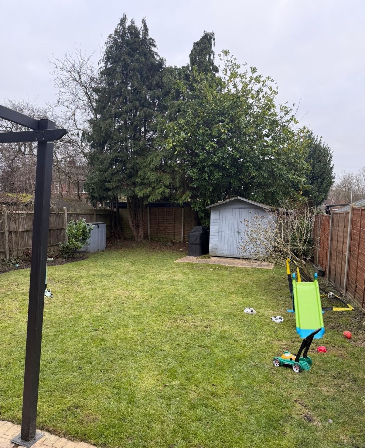 Sandhurst Garden Clearance: before, conifers and holly closing the garden in