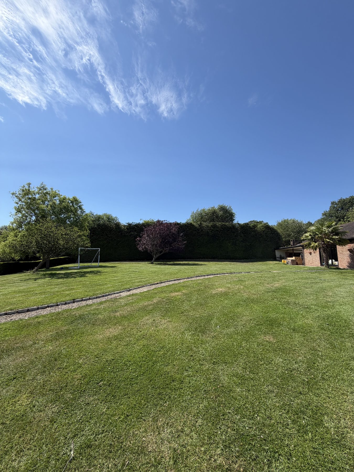 Conifer Hedge, Silchester Farm: after, reduced and level across the run
