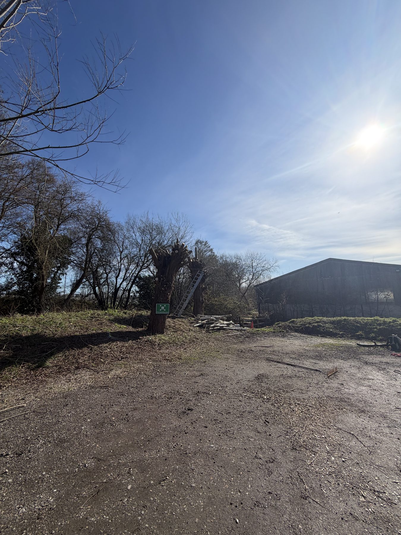 Willow Pollard, Silchester Farm: yard cleared and swept