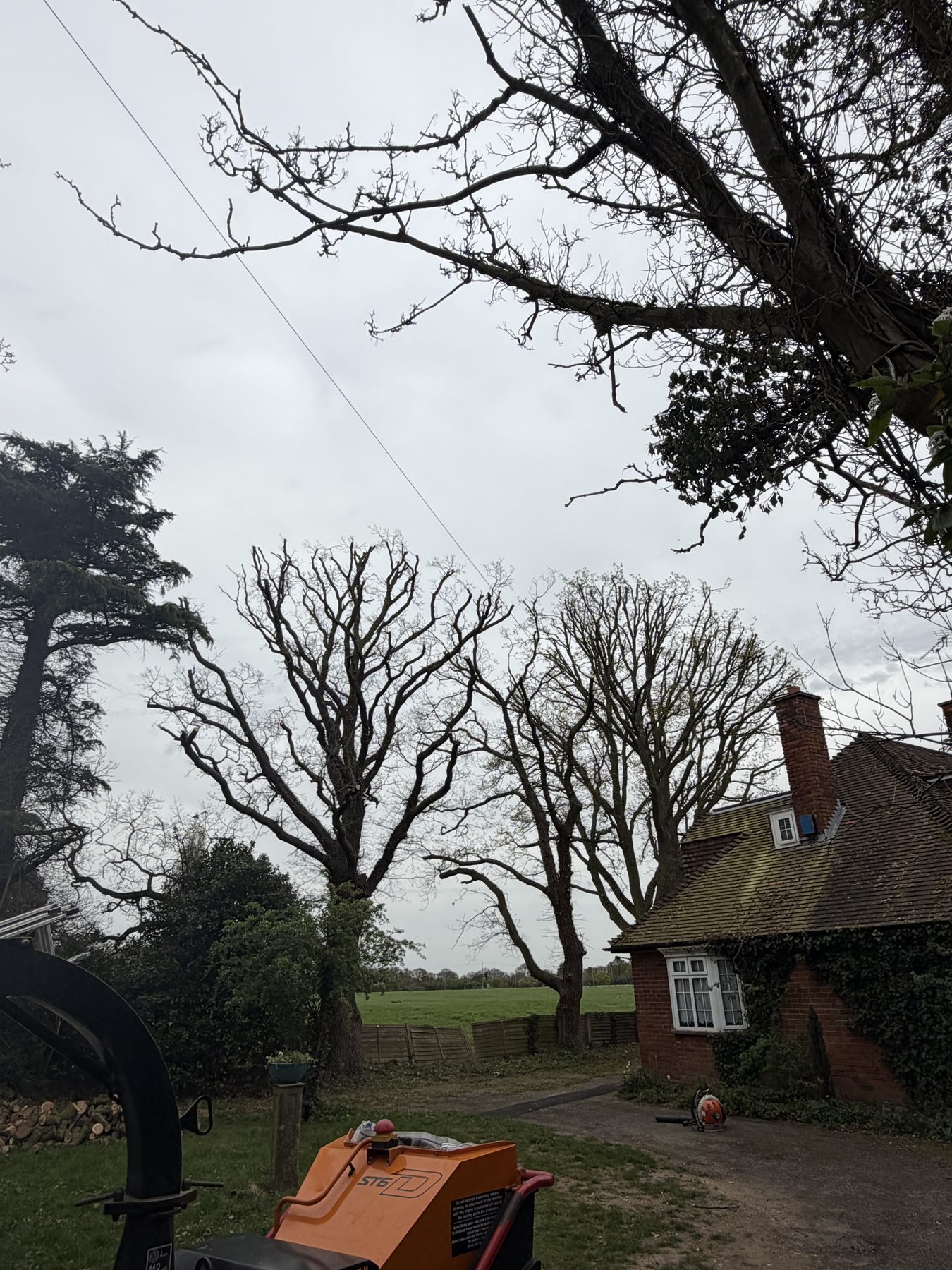 Oak Reduction, Twyford: chipper on site, brash going through as we go