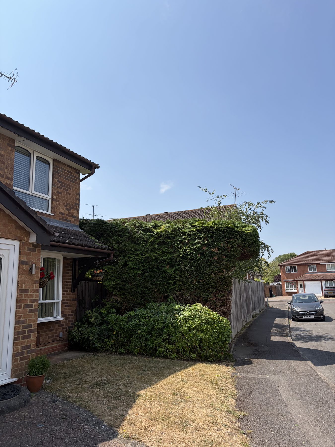 Conifer Hedge Reduction, Woodley: front of the house once we had finished, path clear